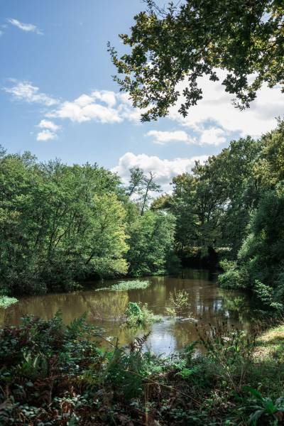 MAISON DHARMA Mimizan (17km)