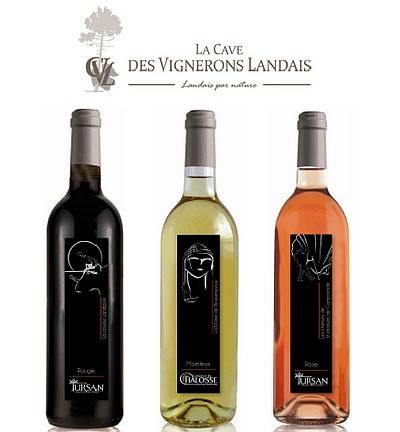 LES VINS DE TURSAN (Visite des caves à Geaune)