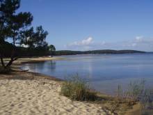 Nos prestations sur le secteur de proche de Biscarrosse dans les Landes